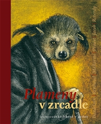 Plameny v zrcadle - Zdeněk Hron