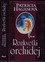 Rozkvetlá orchidej Rozkvetlá orchidej