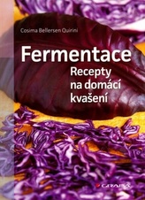 Fermentace - Recepty na domácí kvašení