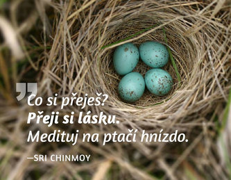 Madal Bal - Magnet na lednici - Co si přeješ? Přeji si lásku. Medituj na ptačí hnízdo.