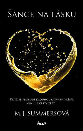 Šance na lásku (M. J Summers, 2016)