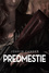 Predmestie Predmestie