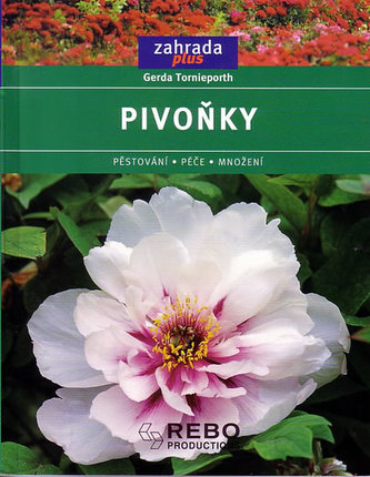 Pivoňky