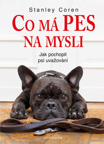 Co má pes na mysli - Jak pochopit psí uvažování