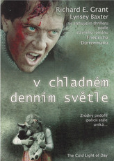 V chladném denním světle