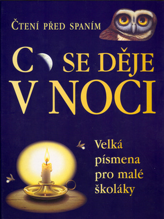 Co se děje v noci? : čtení před spaním (Sally Tangholm, 2002)