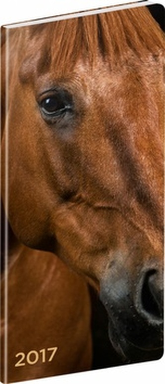 Diář 2017 - Koně - kapesní/plánovací měsíční