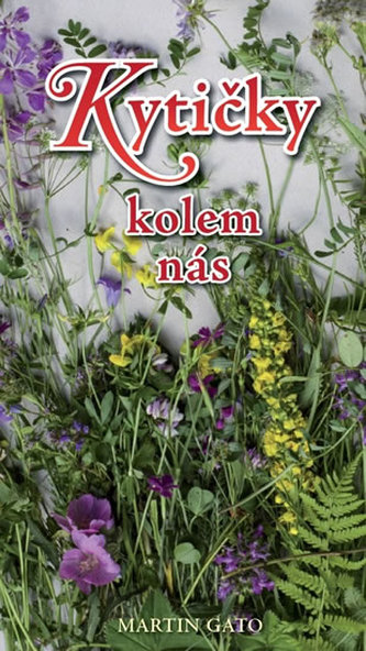 Kytičky kolem nás (Gato, 2016)