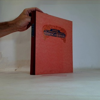 Román o věrném přátelství Amise a Amila