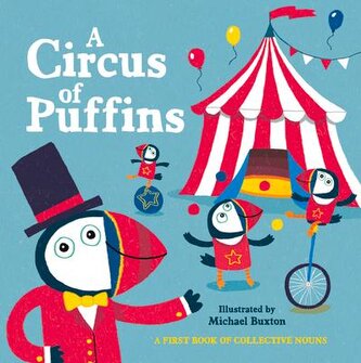 A Circus of Puffins