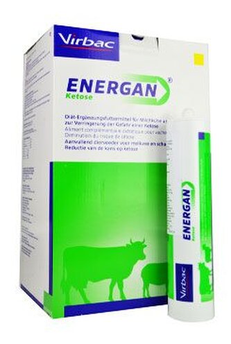 Energan Ketose 12x300g