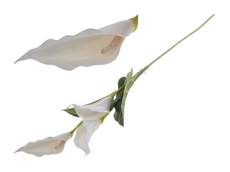 Umělé květiny, plast 870mm kala, bílá