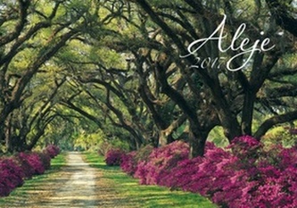 Aleje 2017 - nástěnný kalendář