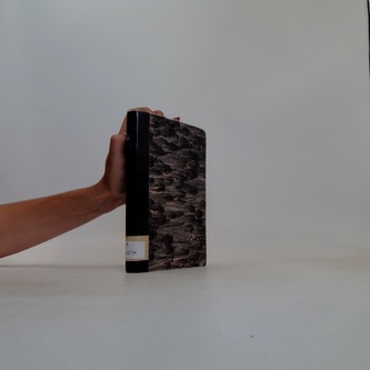 Nový epochální výlet pana Broučka tentokrát do patnáctého stolet