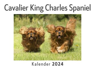 Cavalier King Charles Spaniel (Wandkalender 2024, Kalender DIN A4 quer, Monatskalender im Querformat mit Kalendarium, Das perfek