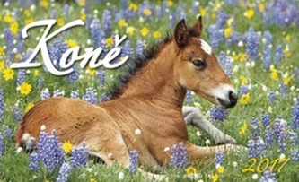 Koně 2017 - stolní kalendář