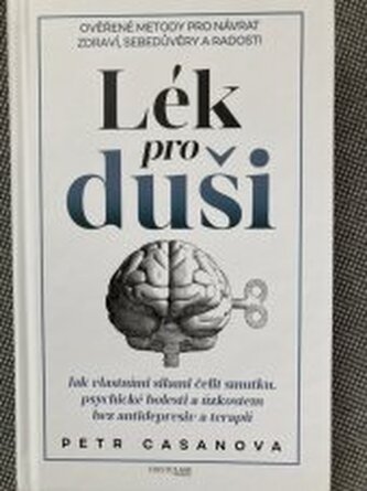 Lék pro duši Jak vlastními silami čelit smutku, psychické bolest