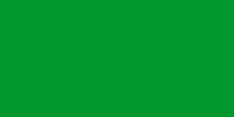 Akrylová barva Abstract 120ml – 811 Permanent Green Light