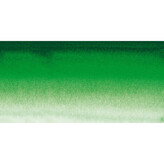 Akvarelová barva Sennelier 1/2 – 809 Hooker's Green