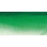 Akvarelová barva Sennelier 1/2 – 817 Sennelier Green
