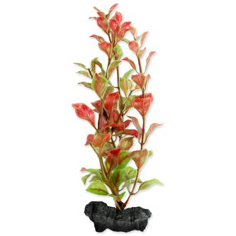 Dekorace Tetra Rostlina Red Ludwigia S 15cm