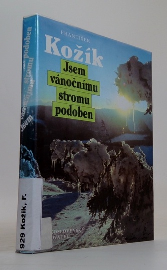 Jsem vánočnímu stromu podoben