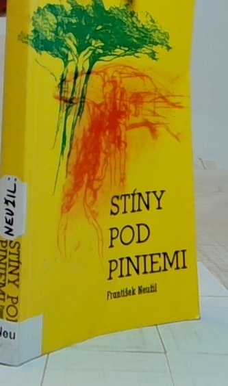Stíny pod piniemi