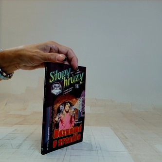 Stopy hrůzy 14: Neznámá v zrcadle