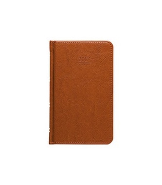 Diář 2017 - Kastor týdenní kapesní