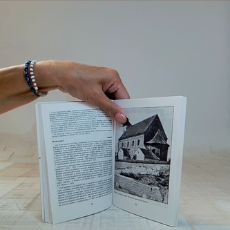 Severní Plzeňsko I: Historicko-turistický průvodce č. 6 (česky,