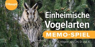 Einheimische Vogelarten - das Memo-Spiel