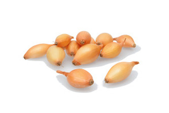 Sazečka - Shakespeare ozimá 250 g (7-14 mm) /cena bez slev/