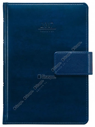 Diář 2017 - Atlas s poutkem denní A5