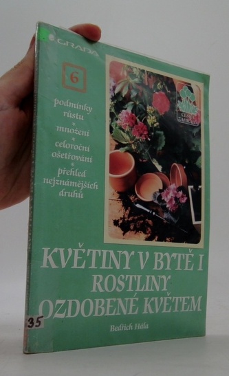 Květiny v bytě i rostliny ozdobené květem