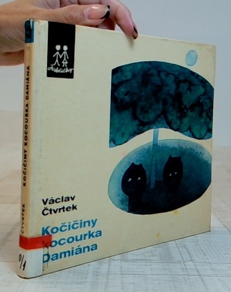 Kočičiny kocourka Damiána