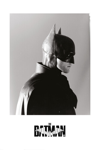 Umělecký tisk The Batman 2022 - Bat profile, 26.7 × 40 cm