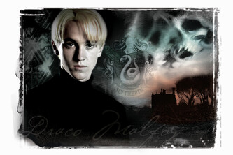 Umělecký tisk Harry Potter - Draco Malfoy, 40 × 26.7 cm