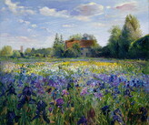 Obrazová reprodukce Evening at the Iris Field, Timothy Easton, 40 × 35 cm