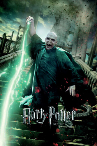 Umělecký tisk Voldemort, 26.7 × 40 cm