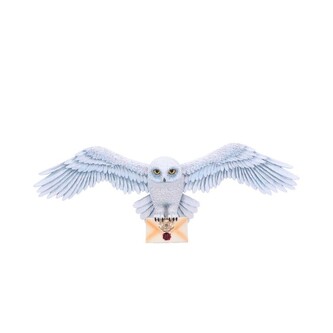 Nástěnná plaketa Nástěnná plaketa Harry Potter - Hedwig