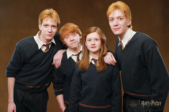 Umělecký tisk Harry Potter - Weasley family, 40 × 26.7 cm