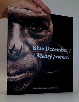Modrý prosinec