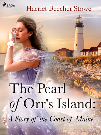 The Pearl of Orr\\'s Island: A Story of the Coast of Maine