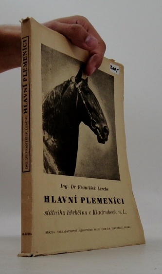 Hlavní plemeníci státního hřebčína v Kladrubech