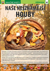 Naučné karty Naše nejznámější houby