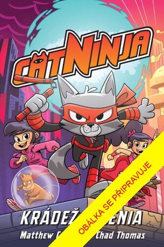 Cat Ninja: Krádež milénia