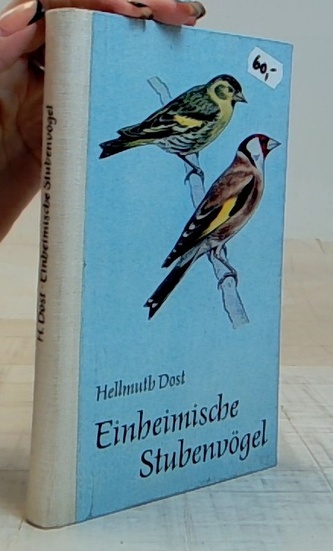 Einheimische Stubenvogel