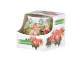 Sklo Dekor 80 x 72 mm Christmas Decorations vonná svíčka