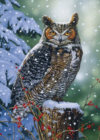 ALIPSON Puzzle Tichý pozorovatel 500 dílků