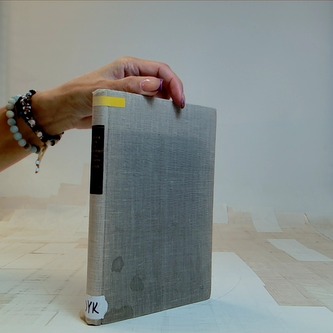 Zmoudření dona Quijota/ Krysař